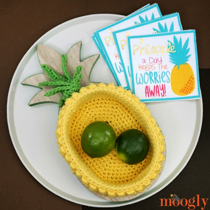 Free Pineapple Crochet Patterns For Beginner Downlaod Pdf