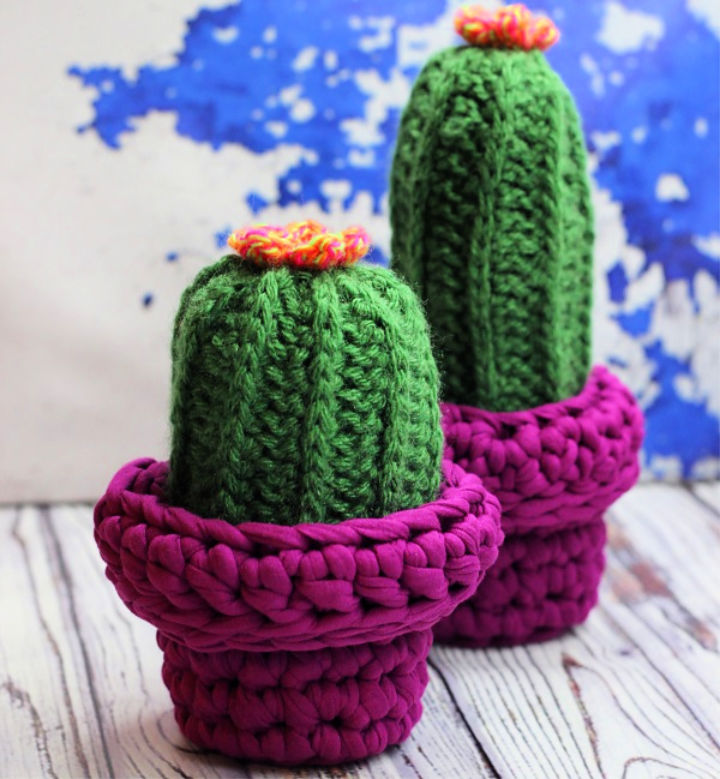 30 Free Crochet Cactus Patterns Crochet Succulent Pattern